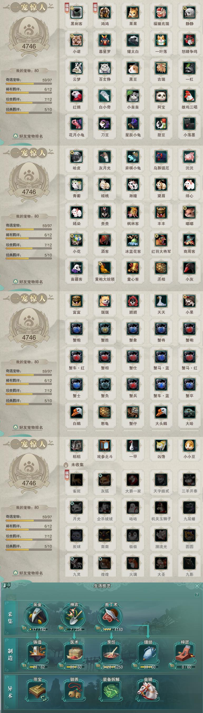 12-宠物生活技能.jpg