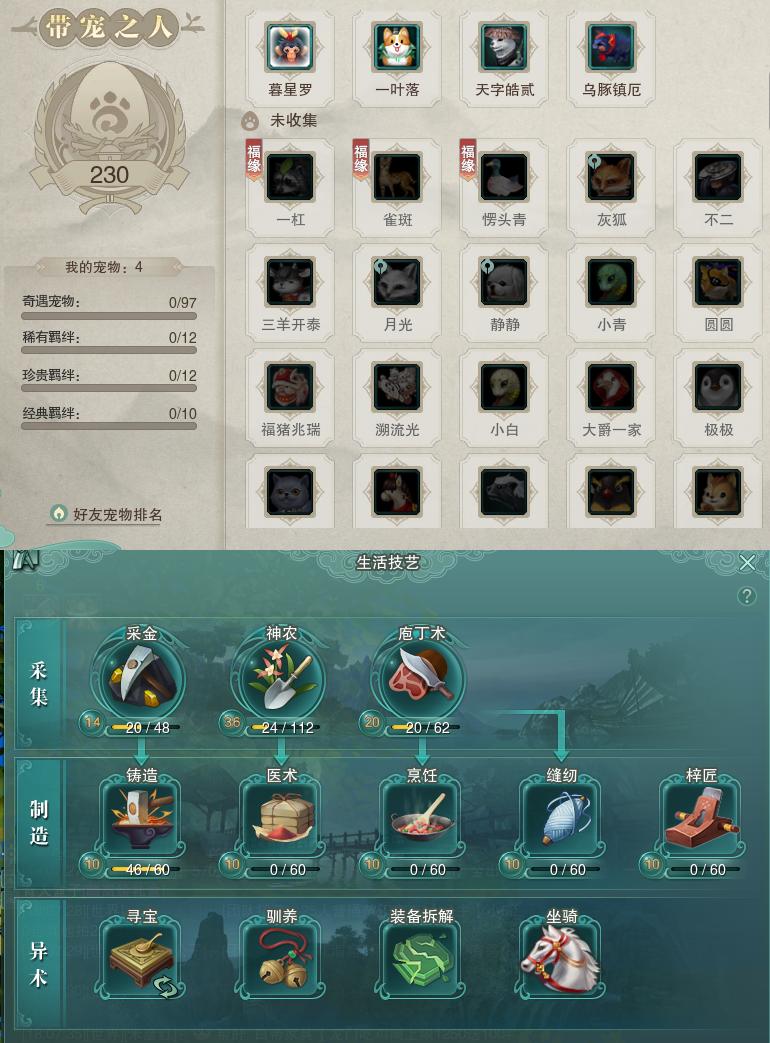 12-宠物生活技能.jpg
