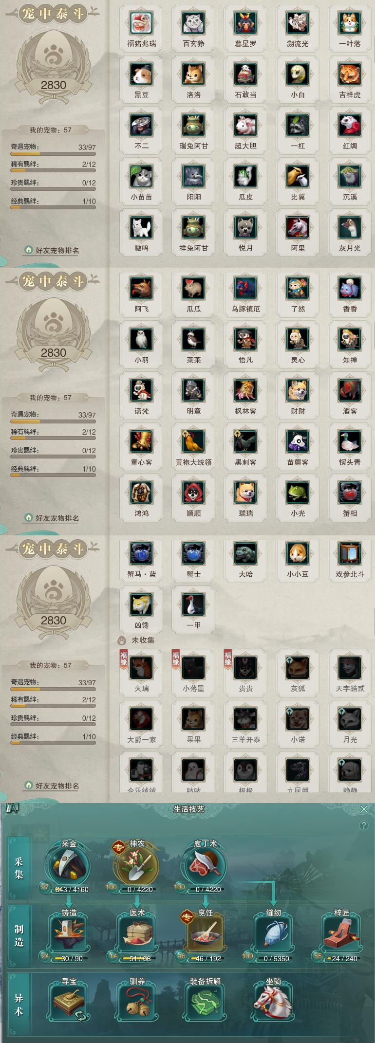 12-宠物生活技能.jpg
