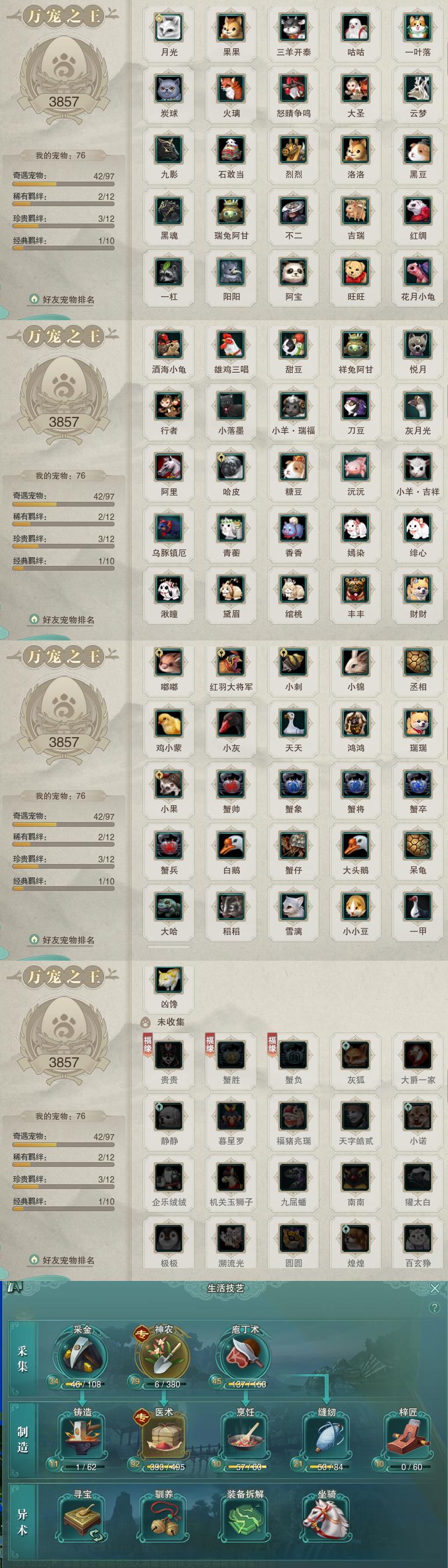 12-宠物生活技能.jpg